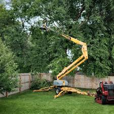 Best Lawn Watering Services  in Berryville, VA